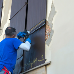 Crépis : optez pour une façade rustique et chaleureuse Pontarlier